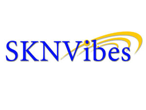 SKN Vibes Logo